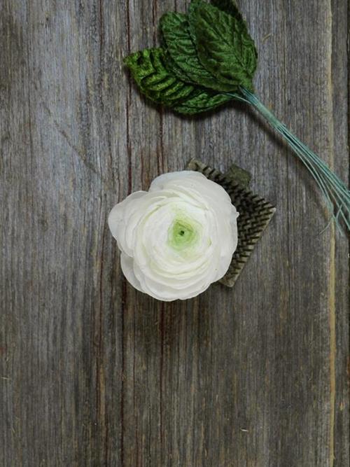 WHITE RANUNCULUS